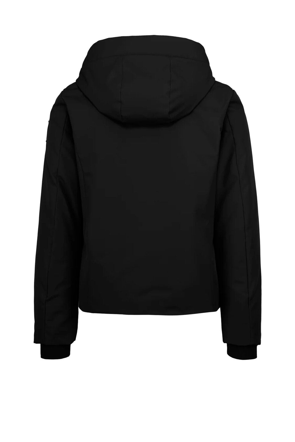 006506.BLK_2.jpg